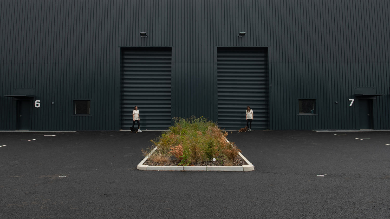 Head Office | Founders with their Dogs | UK warehouse | Fulfilment Centre near London.